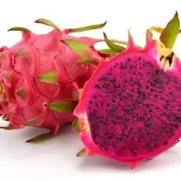 alogardening Dragon Tree image 2