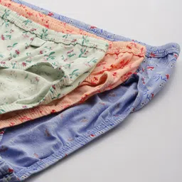 Van Heusen Women Pack of 3 Assorted Antibacterial Printed Briefs - 11104 image 5