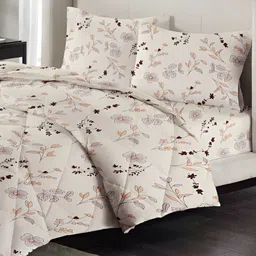 bsb home Beige & Coffee Brown Self Design Other 4 Piece Double Queen Superfine Bedding Set-image-28