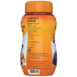 baidyanath nagpur Baidyanath Chyawan Fit- Sugarfree Chyawanprash | Natural Immunity Booster With No Added Sugar - 500 Gm image 3