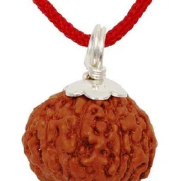numeroastro Natural & Original 10 Mukhi Rudraksha | Ten Faced Rudraksha Silver Pendant With Lab Certificate (Pure Silver Pendant) (1 Pc) Silver Wood, Silver Pendant-picture-24
