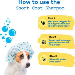 the good paws FRESSSSH AF Short Coat Shampoo | Smoothes Skin & Coat | For Beagle, Labrador | Hypoallergenic, Anti-microbial, Anti-itching | All Natural | Made Safe, Coconut Mint (Allergen Free), Jojoba Oil, Castor Oil Dog Shampoo image 4