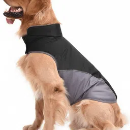 cocker Winter Jacket for Dog-picture-28