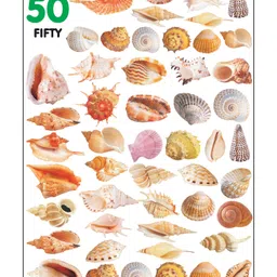 dreamland publications Dreamland Number Book 1 - 100 for Children - Picture Book Baby's First Pre-School Series image 5
