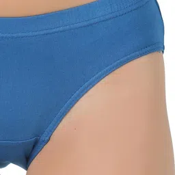 prithvi Pack of 3 Women Hipster Multicolor Panty image 4