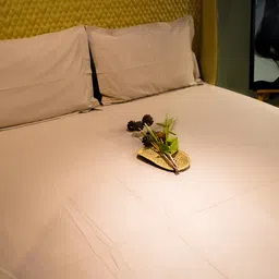 aetherea world Coffee 500TC 100% Cotton Solid Bed Sheet Collection by Aethrea World image 4