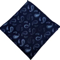 VOICI VOICI Paisley Design Cravats & Pocket Square Cravat image 4