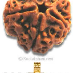 Simple Elegant Versatile Everyday Pendant Locket for Men Women Wood, Metal-image-32