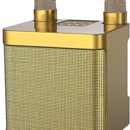 dkian YS203 955BT Portable Karaoke Dual Mic Bluetooth Speaker Stereo Bass Subwoofer 100 W Bluetooth Party Speaker image 2