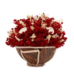 handzon Red Sola Natural Dried Flowers On Coconut Shell Decorated With Coir image 2