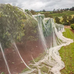 i geon UV Stabilized Nylon Pigeon Net_Bird Net_Monkey Net_6 X 10 Feet_White Color Camping Net image 3