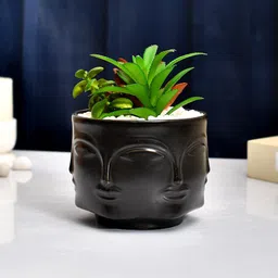 TAYHAA Black & Green Artificial Flowers and Plant With Ceramic Pot-picture-33