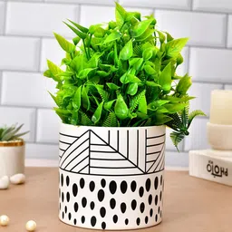 TAYHAA White & Black Printed Ceramic Planter-picture-28