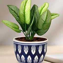 LASAKI Sharon Blue Textured Ceramic Planter-picture-41