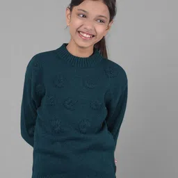 Crimsoune Club Girls Self Designed Pullover-image-65