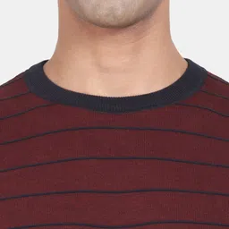 t-base Striped Round Neck Ribbed Hem Reversible Cotton Pullover Sweaters image 2