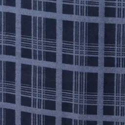 Alvaro Castagnino Men Blue Checked Muffler image 5