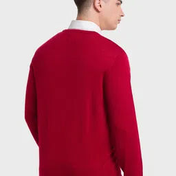 ColorPlus Men V-Neck Wool Pullover image 4