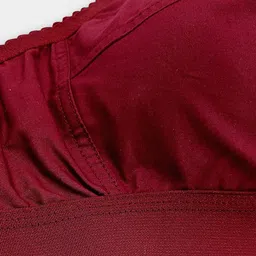 Trylo Bra Full Coverage image 4