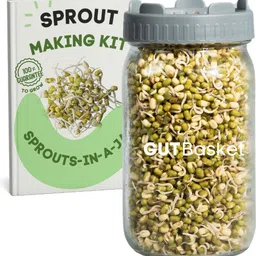 gutbasket Glass Sprout Maker- 1000 ml-picture-15