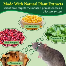 mistora Peppermint Oil Rat Repellent Balls – Natural Protection for Home & Kitchen image 4