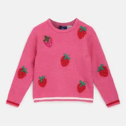 Chicco Girls Self Designed Ribbed Acrylic Pullover-picture-22