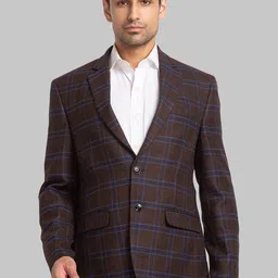 Park Avenue Men Checked Single Breasted Blazers-picture-28