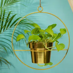 TRUSTBASKET Gold Toned Luna Metal Hanging Planter-picture-28