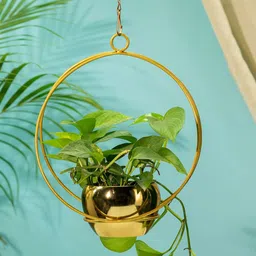 TRUSTBASKET Gold Toned 2 Pieces Lunar Eclipse Metal Hanging Planter-picture-15
