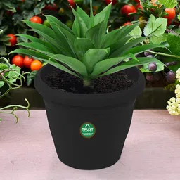 TrustBasket 12-Pcs Black UV Treated Round Planters-image-50