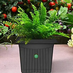 TrustBasket 6-Pcs Black Textured UV Treated Square Planters-image-79