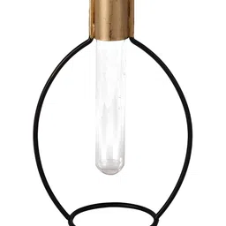 VarEesha Black & Transparent Metal Planter With Tube image 3