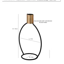 VarEesha Black & Transparent Metal Planter With Tube image 2
