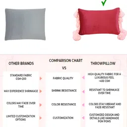 THROWPILLOW Red & Pink Tasselled Rectangle Cushion Cover image 4