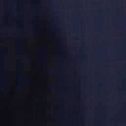 Park Avenue Men Blue Checked Slim Fit Trousers image 5