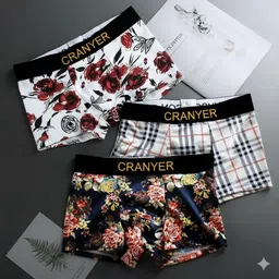 cranyer Pack of 3 Printed Men Brief image 4
