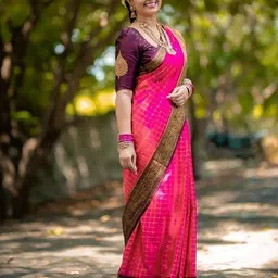 BerMondsey Checked Woven Design  Banarasi Saree-picture-20