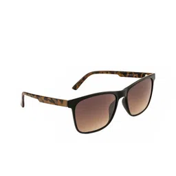 OPIUM Men Brown Lens & Black Wayfarer Sunglasses with UV Protected Lens OP-1900-C01-picture-42