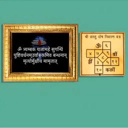 Hawai Multicoloured 1 Pieces Wood Fashion Photo Frames-picture-24