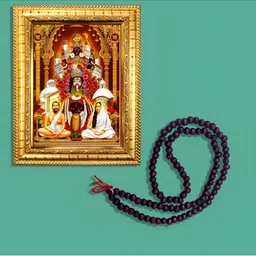 Hawai Multicoloured 1 Pieces Wood Fashion Photo Frames-picture-33