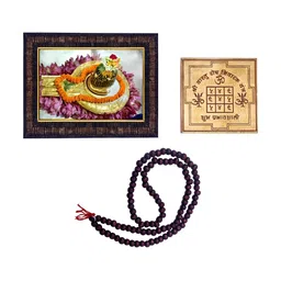 Hawai Multicoloured 1 Pieces Wood Fashion Photo Frames-picture-13