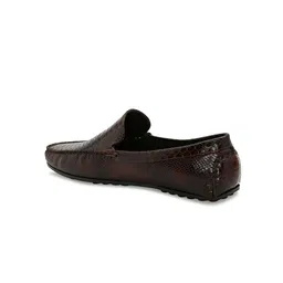San Frissco Men Brown Textured Driving Shoes image 2