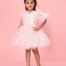 Aarika Girls Embellished Net Fit & Flare Dress image 4