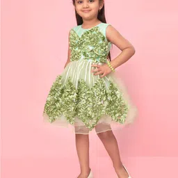 Aarika Girls Net Fit & Flare Dress image 5