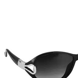 Walrus Unisex Full Rim Butterfly Sunglasses image 3