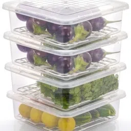 vr Plastic Fridge Container - 2500 ml-picture-22