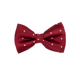 The Tie Hub Men Maroon Polka Printed Accessory Gift Set image 2