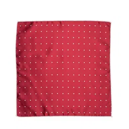 The Tie Hub Men Maroon Polka Printed Accessory Gift Set image 3