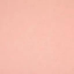 MORADO Peach Solid Duvet Cover image 2