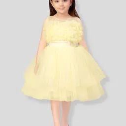 Aarika Girls Fit and Flare Net Dress-picture-18